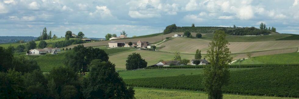 Coteaux de vignes et fermes de la commune