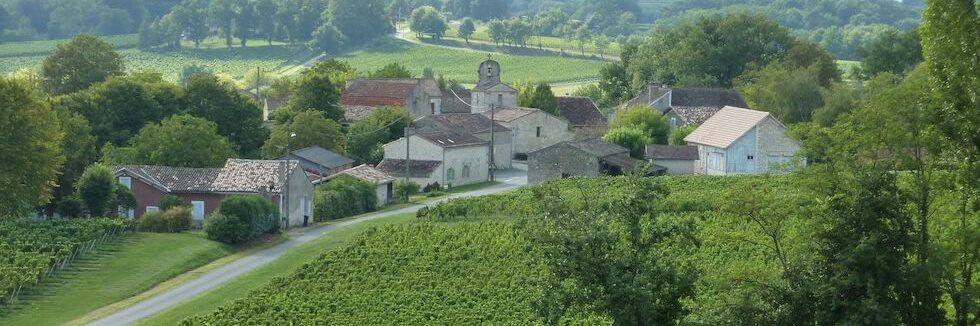 Hameau entouré de vignes sur les coteaux